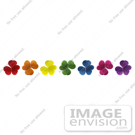 #12109 Picture of Rainbow Colored Clovers by Jamie Voetsch