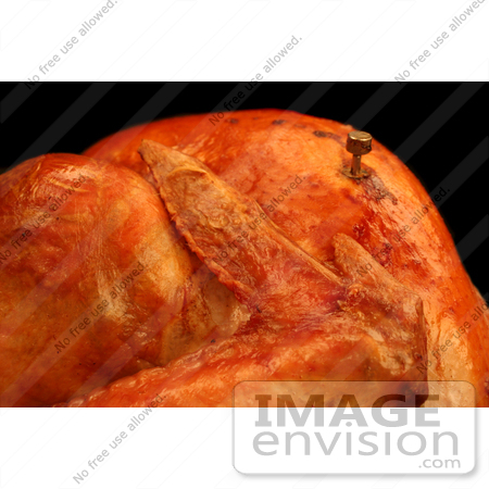 #1214 Thanksgiving Photo of a Cooked Turkey with a Meat Thermometer by Kenny Adams