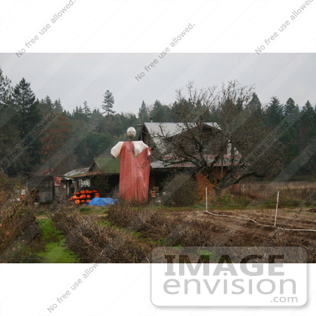 #1217 Photography of a Huge Scarecrow by Kenny Adams