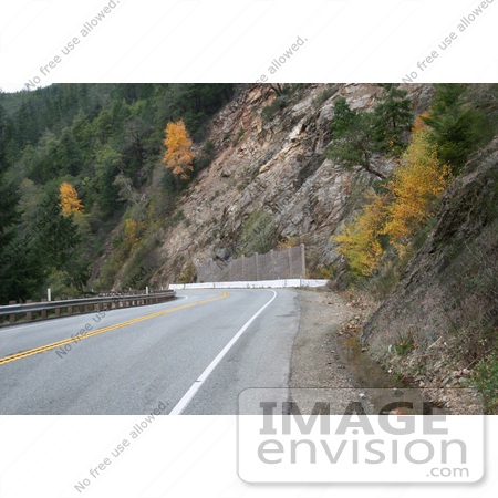 #1219 Picture of a Landslip Area Beside an Oregon Highway by Kenny Adams