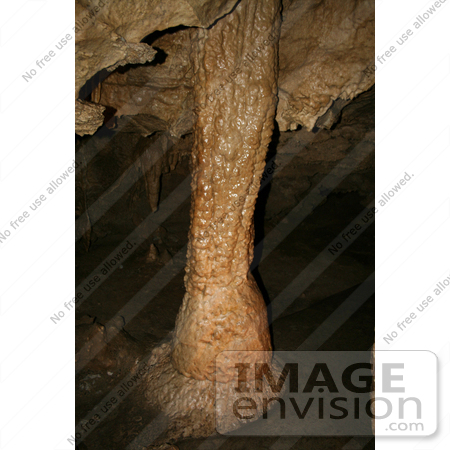 #12193 Picture of the Grand Column, Oregon Caves by Jamie Voetsch