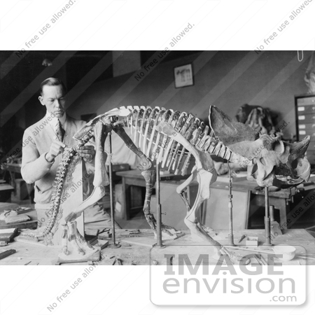 #12222 Picture of a Paleontologist Preparing a Dinosaur Skeleton by JVPD
