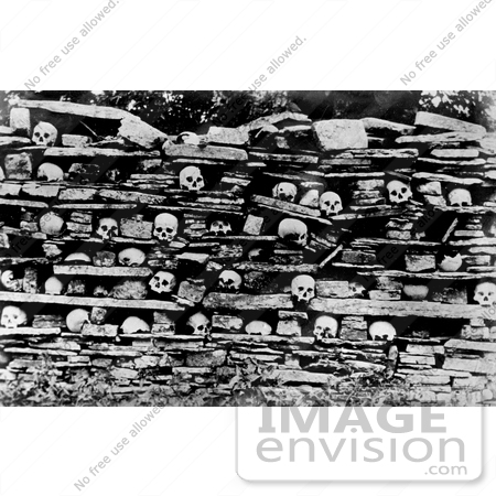 #12223 Picture of Human Skulls on a Rock Shelf by JVPD