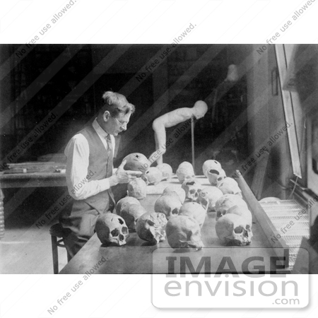 #12224 Picture of William H. Egberts Studying Skulls by JVPD