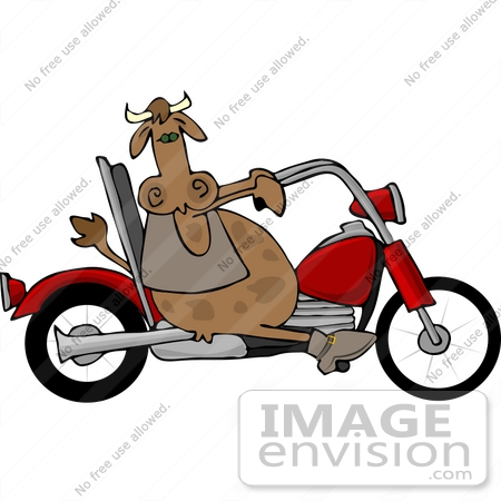#12390 Cow Riding a Motorcycle Clipart by DJArt