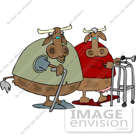 #12417 Two Old Cows With Walking Assistance Clipart by DJArt