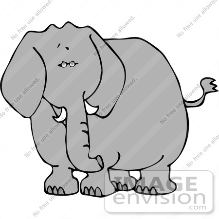 #12450 Elephant Facing Front Clipart by DJArt