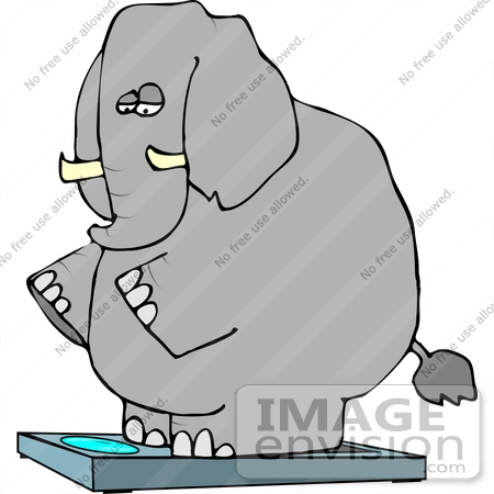 #12454 Elephant on a Scale Clipart by DJArt