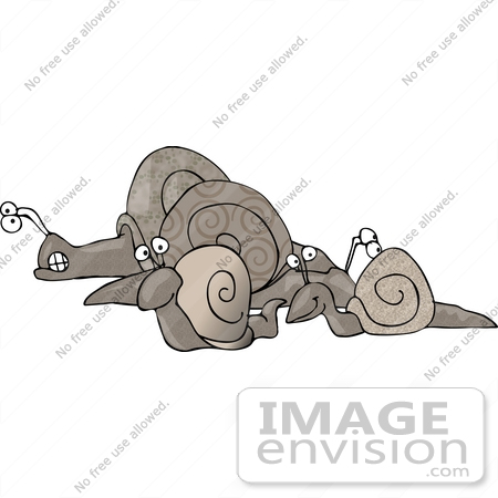 #12521 Group of Snails Clipart by DJArt