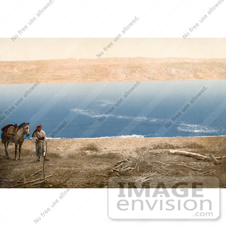 #12873 Picture of an Arabian Man and Horse Near the Dead Sea by JVPD