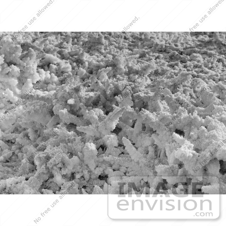 #12874 Picture of Salt Formations, Dead Sea, Jordan by JVPD
