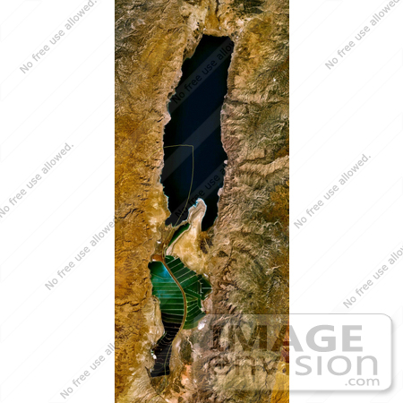 #12876 Picture of the Dead Sea From Space, 2006 by JVPD