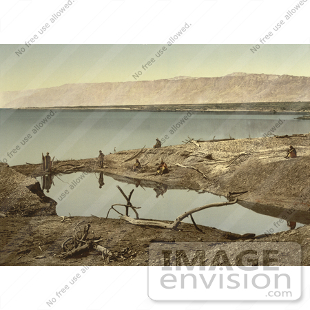 #12878 Picture of Driftwood and Puddle on the Shore of the Dead Sea by JVPD