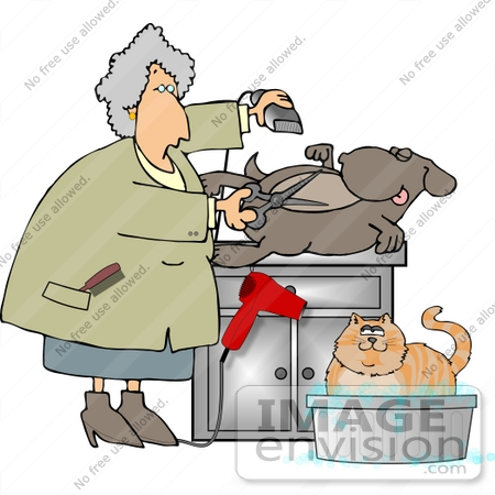 #13069 Senior Caucasian Woman Grooming a Dog and Cat Clipart by DJArt