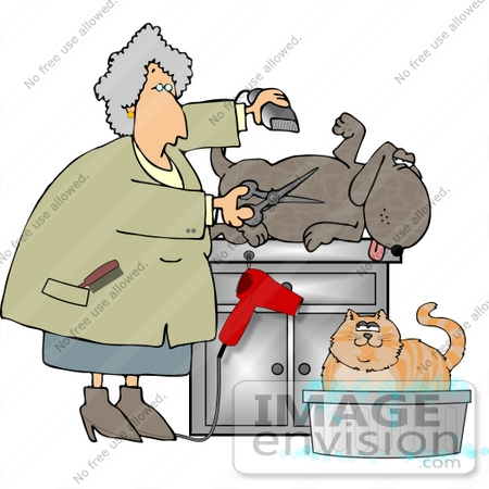 #13070 Senior Caucasian Woman Grooming a Dog and Cat Clipart by DJArt
