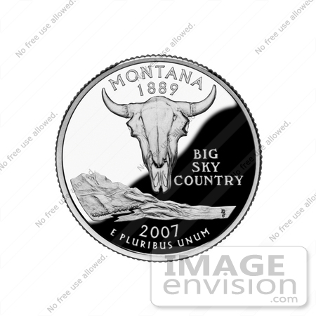 #13130 Picture of a Buffalo Skull on the Montana State Quarter by JVPD
