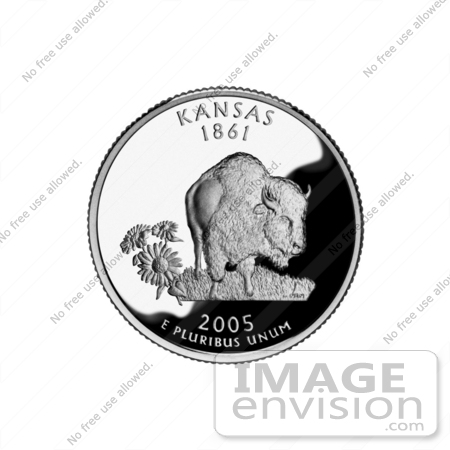 #13143 Picture of a Buffalo and Sunflowers on the Kansas State Quarter by JVPD