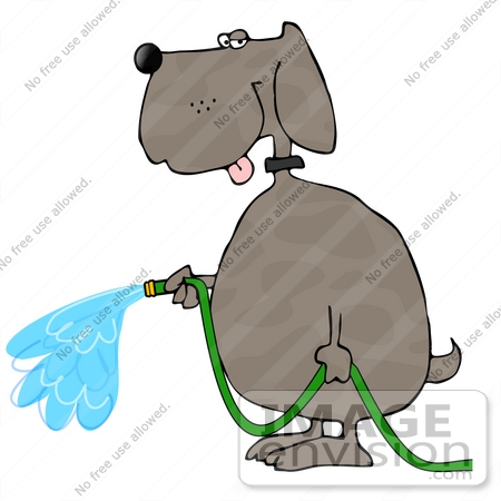 #13285 Dog Using a Garden Hose Clipart by DJArt