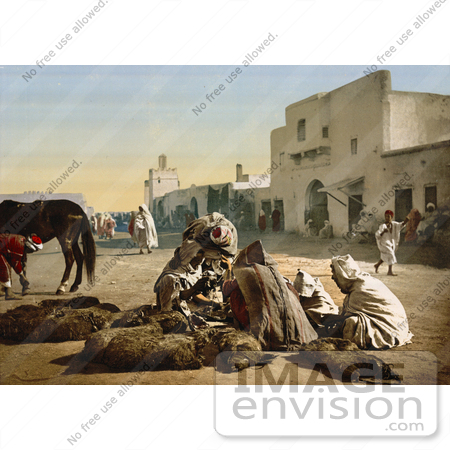 #13451 Picture of Fur Vendors, Tunisia by JVPD
