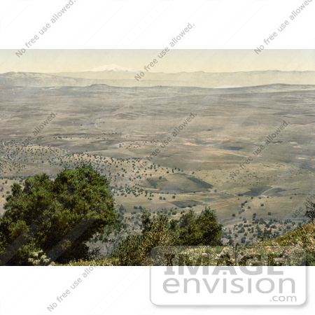 #13558 Picture of the Plain of Tabor and Mt Hermon by JVPD