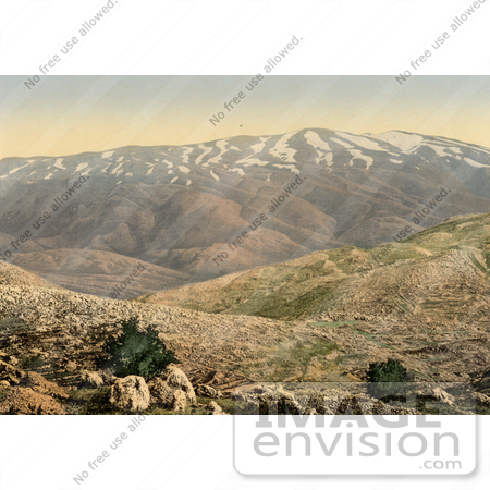 #13569 Picture of Mount Hermon in Lebanon by JVPD
