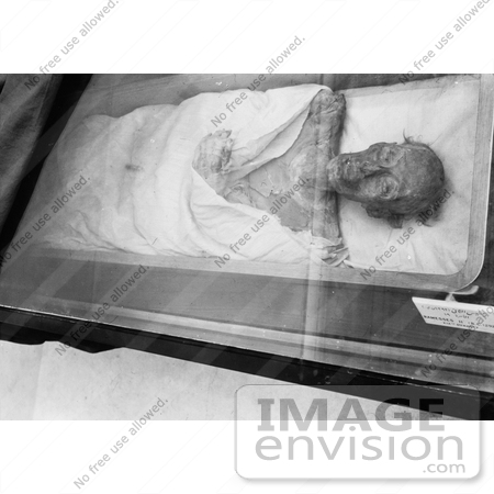 #13582 Picture of the Mummy of Ramses II, Ramesses the Great by JVPD