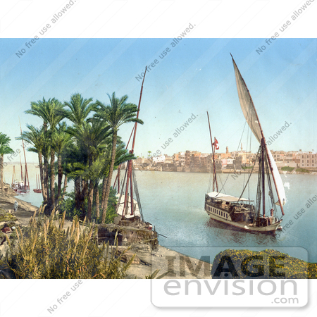 #13653 Picture of a Sailing Boat on the Nile, Cairo, Egypt by JVPD