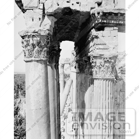 #13777 Picture of Carved Ceiling and Columns, Temple of Bacchus, Baalbek by JVPD