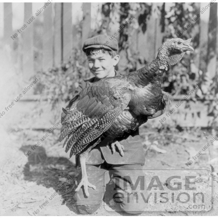#1408 Photo of a Little Boy Kneeling and Holding a Large Turkey Bird by JVPD
