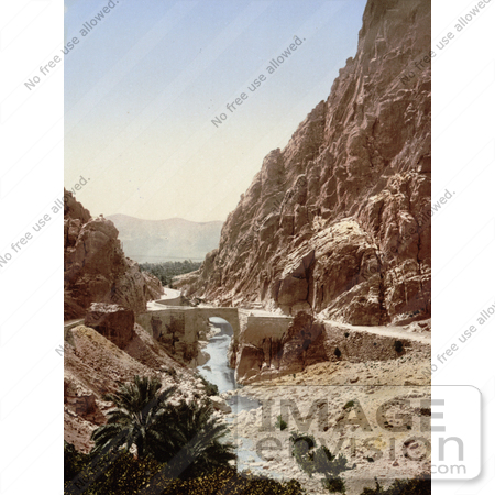 #14327 Picture of a Bridge Over a Stream, ElCantara, Algeria by JVPD