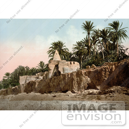 #14331 Picture of Marabut, Biskra, Algeria by JVPD