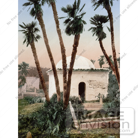 #14354 Picture of a Chapel Under Palm Trees at a Cemetery, Algeria by JVPD