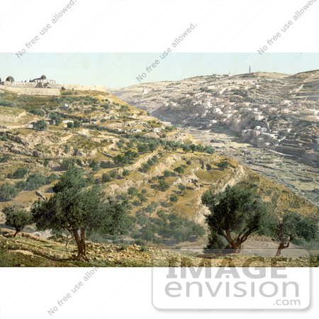 #14400 Picture of Siloam and the Tyrophean Valley, Jerusalem by JVPD