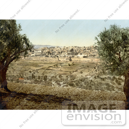 #14402 Picture of Jerusalem From the Mount of Olives by JVPD
