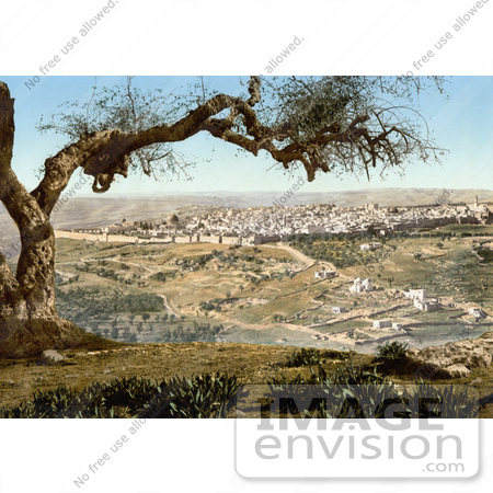#14405 Picture of Jerusalem From Mount Scopus by JVPD