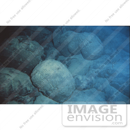 #15091 Picture of Pillow Lava Rocks Underwater by JVPD