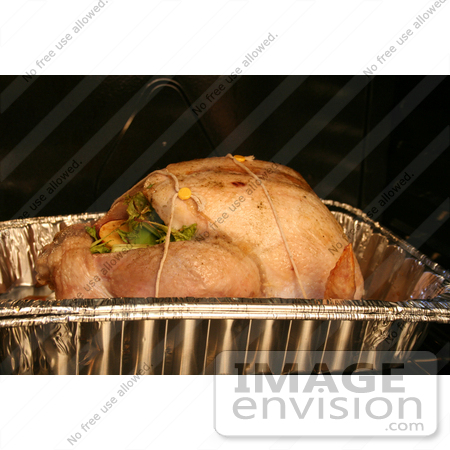 #1539 Turkey in a Roasting Pan by Jamie Voetsch