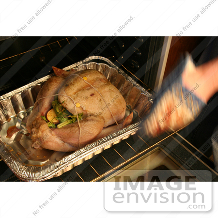 #1540 Person Putting a Turkey in an Oven by Jamie Voetsch