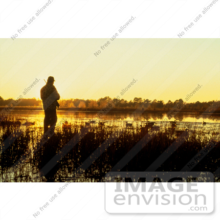 #15563 Picture of a Duck Hunter Standing in Reeds Against an Orange Sunrise by JVPD