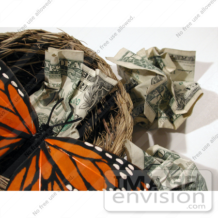 #156 Image of a Butterfly in a Nest With Crumpled Cash by Jamie Voetsch