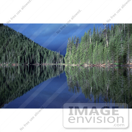 #15630 Picture of a Blue Sky And Evergreen Forest Reflecting in a Lake by JVPD