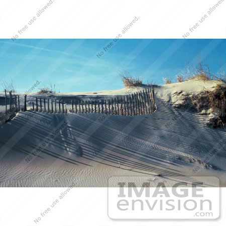 #15631 Picture of Shadows Cast on Sand Dunes From a Fence on a Beach by JVPD