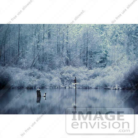 #15659 Picture of a Frosty Morning With a Birdhouse Reflecting in a Body of Water by JVPD