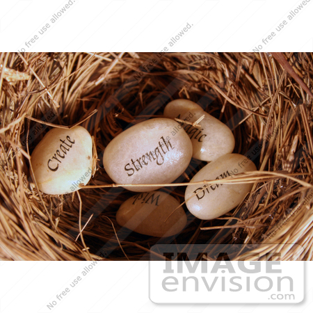 #167 Photograph of Wishing Stones in a Nest by Jamie Voetsch