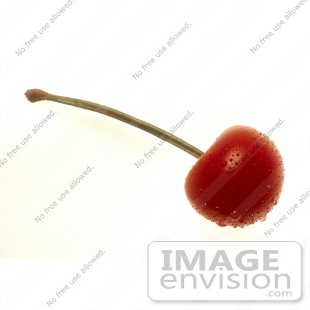 #16941 Picture of a Wet, Red Stemmed Cherry Fruit by JVPD