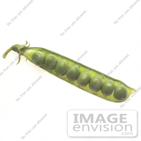 #16943 Picture of a Row of Green Peas in a Pea Pod by JVPD