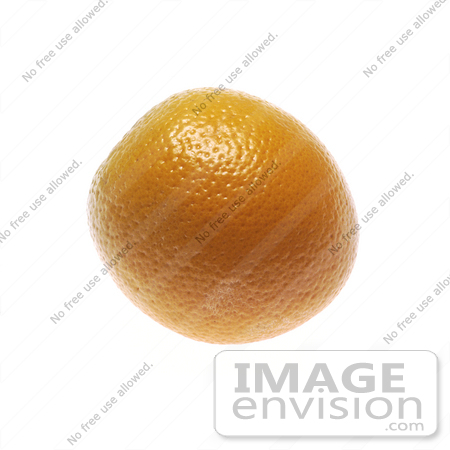 #16945 Picture of One Whole Orange Fruit Showing the Peel by JVPD