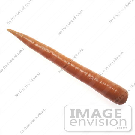 #16966 Picture of One Whole Long, Raw, Orange Carrot on a White Background by JVPD