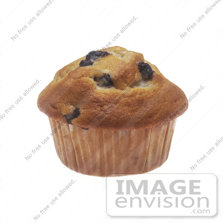 #16971 Picture of One Whole Blueberry Muffin Still in the Cupcake Liner by JVPD