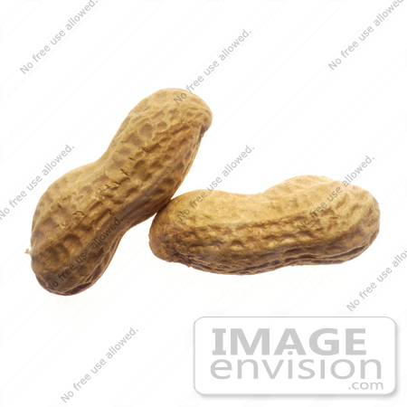 #16977 Picture of Two Whole Peanuts in the Shell, one Leaning on the Other by JVPD